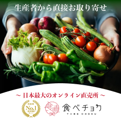 食べチョクお得な始め方・初回クーポンと産直活用術【2026年版】 を象徴するイラスト