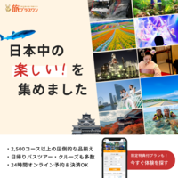 旅プラスワン(tabione)で選ぶオプショナルツアー徹底ガイド【2026年版】 を象徴するイラスト