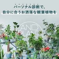 AND PLANTSで観葉植物を買う【2026年版】 を象徴するイラスト