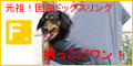 犬の服 full of vigorのドッグウェアの選び方ガイド【2026年版】 を象徴するイラスト
