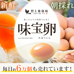野上養鶏所 — 60年以上続く味宝卵を産地直送で味わう公式通販【2026年版】 を象徴するイラスト